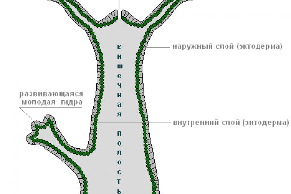 Кракен что это за маркетплейс