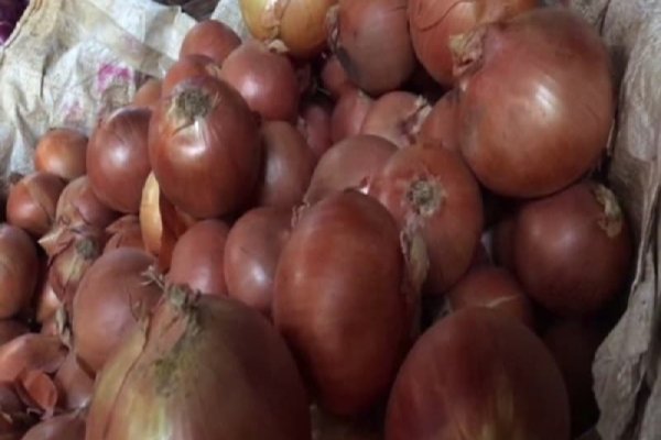 Кракен что там продают