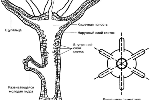 Кракен зеркало 2