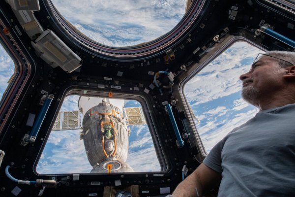 Кракен зеркало ссылка онлайн