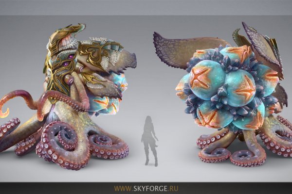 Kraken 24at