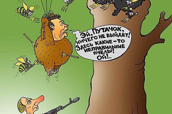 Как зайти в кракен торе