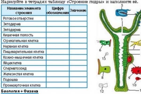 Кракен современный даркнет