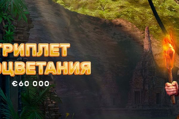 Кракен мониторинг ссылок kraken torion