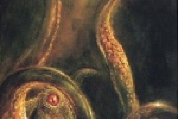 Kraken зеркало даркнет