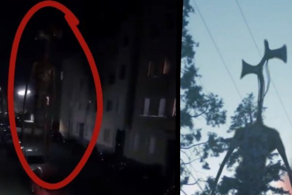 Ссылка на кракен тор браузер
