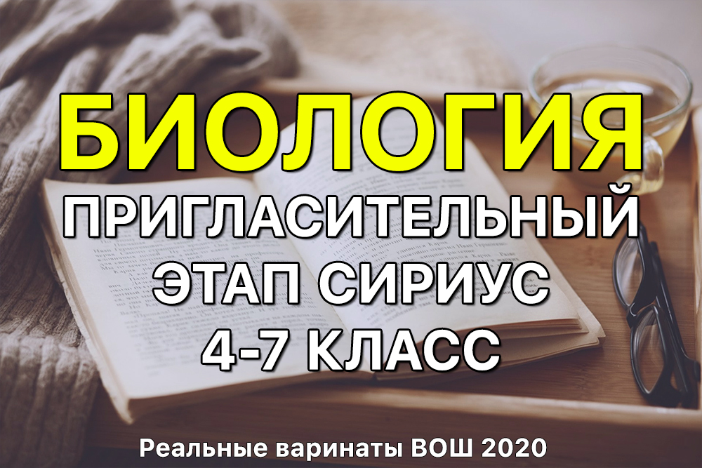 Кракен маркет это